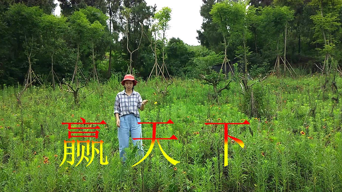 [图]男歌手一首《赢天下》,唱出了男人的霸气,旋律好听,太震撼!