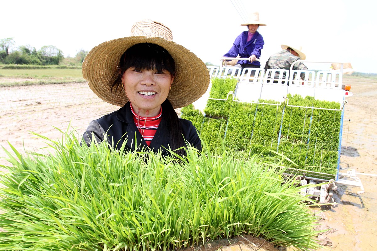 威宁县技工学校农业机械使用与维护专业可以选择哪些就业方向怎么样