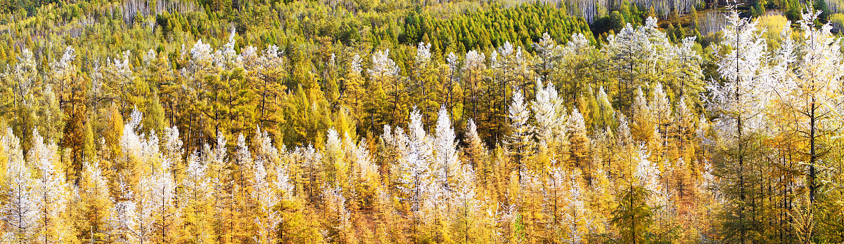 大兴安岭职业学院五年制大专怎么样