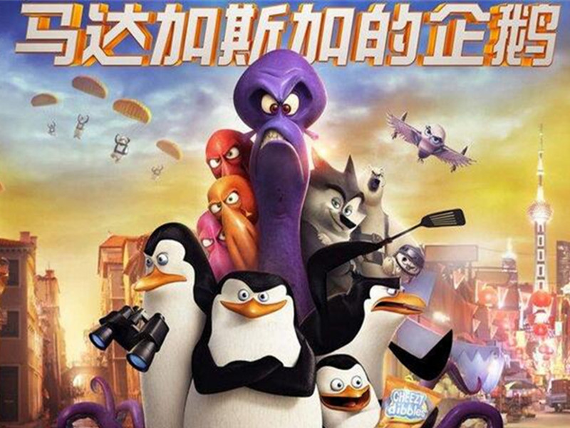 马达加斯加的企鹅