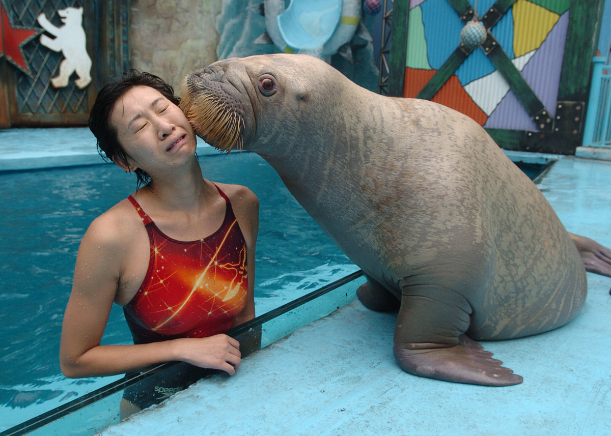 大连海洋学校毕业生就业前景怎么样？2022年最新分析