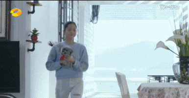 2017年演技最差的明星都在這,合起來簡直是一部喜劇啊!