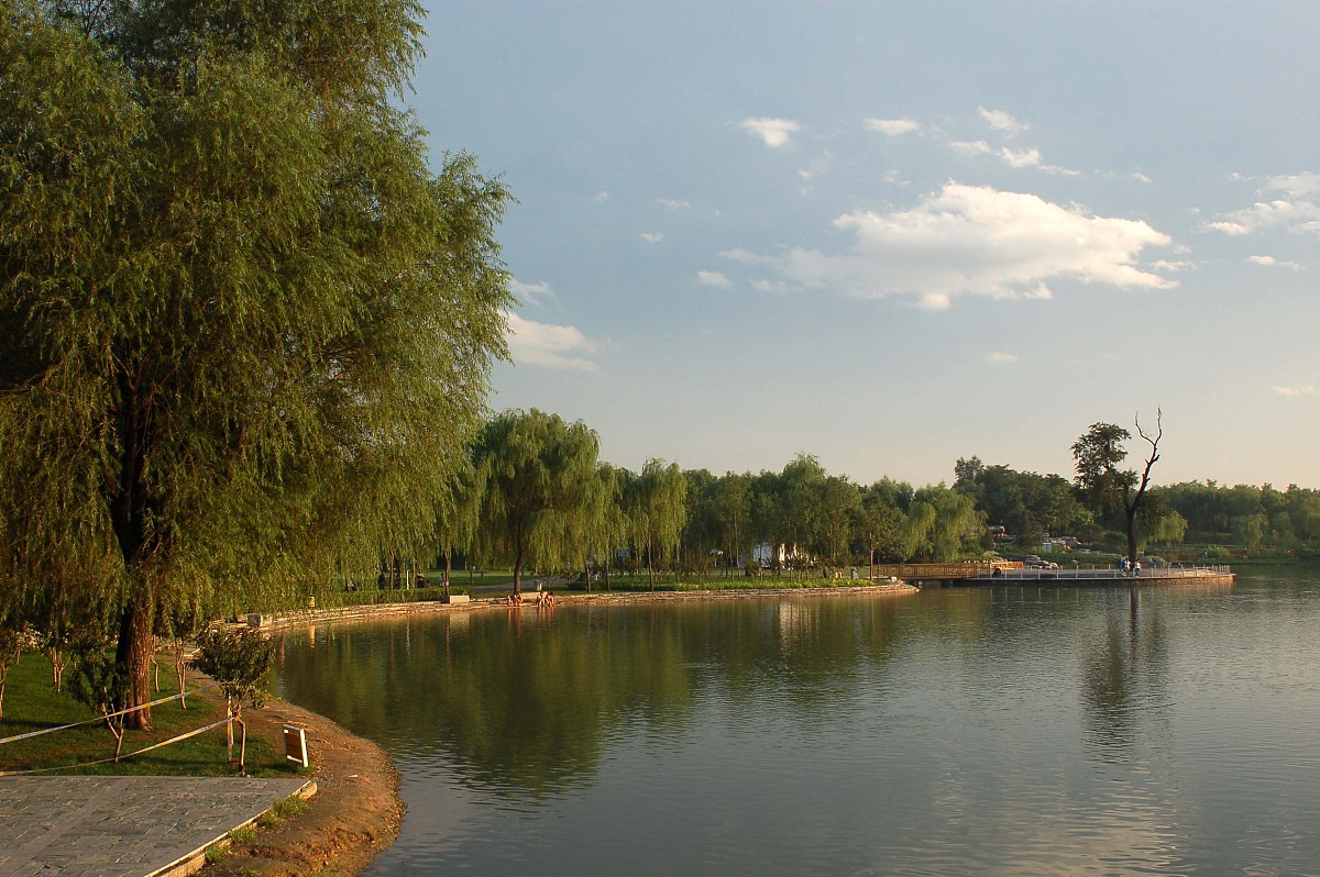 园林业务团队发展企划书