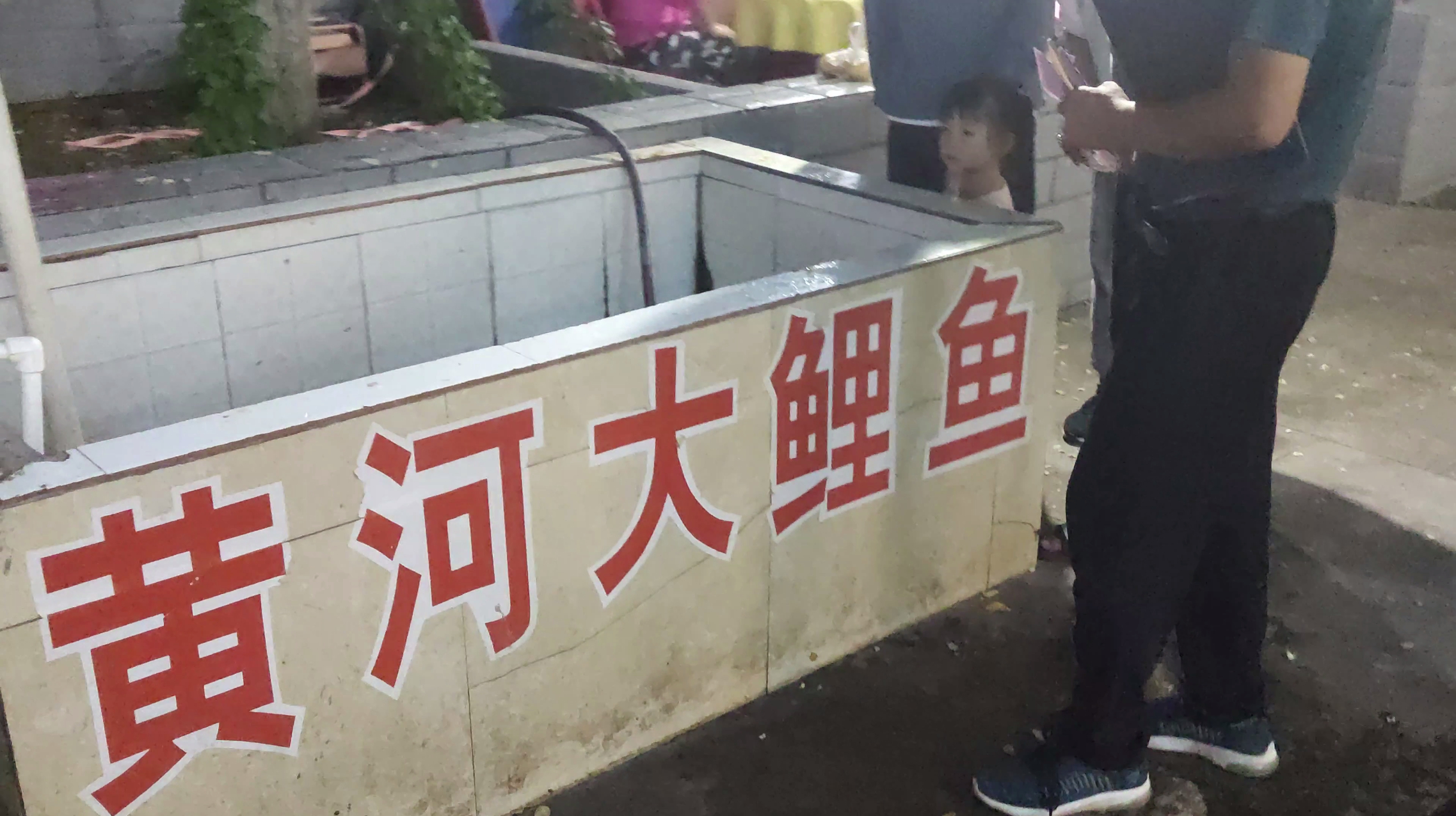 在延安壶口想吃到真正的黄河大鲤鱼,没想到每斤88元,你还吃吗?