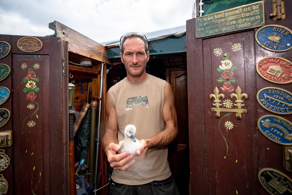 群友说 我还是去卖鸡jio吧 我应该怎么回