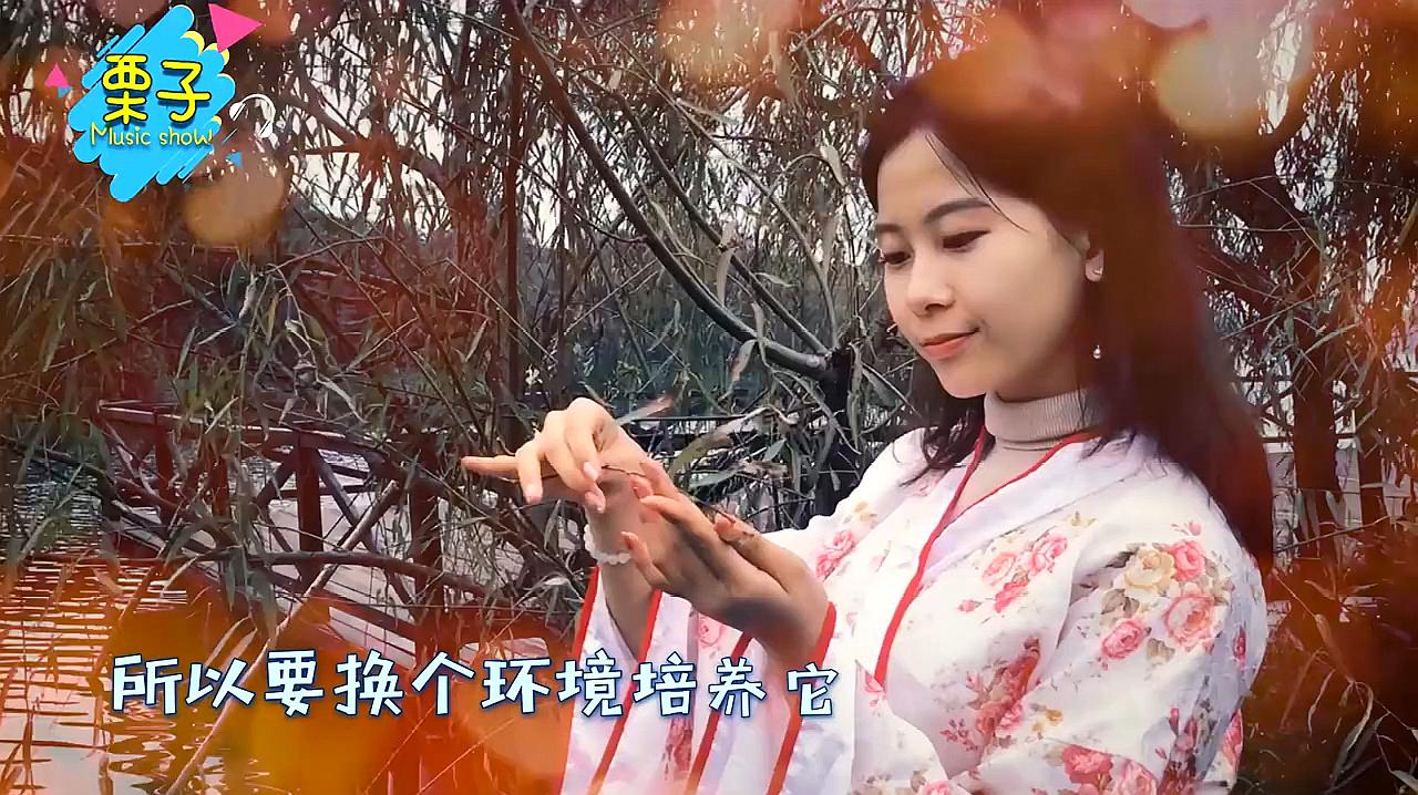 [图]好听极了!本兮一首《情花》,一起走进这首情歌背后的故事