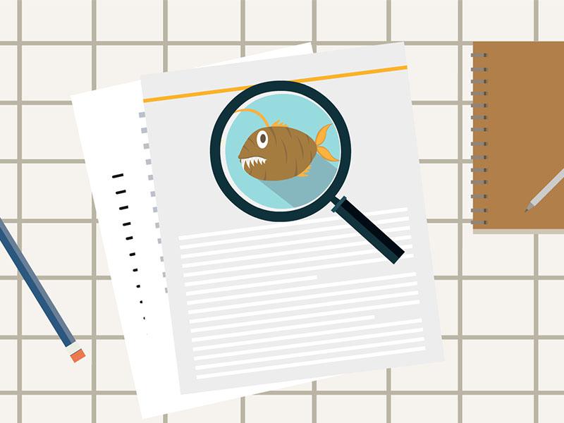 一分钟了解雄性灯笼鱼退化成睾丸之谜