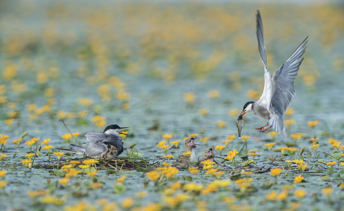2022东平县职业中等专业学校招生专业及相关信息