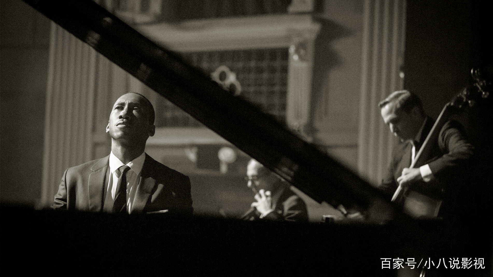 《绿皮书》一组黑白壁纸图,网友:超越种族的巡