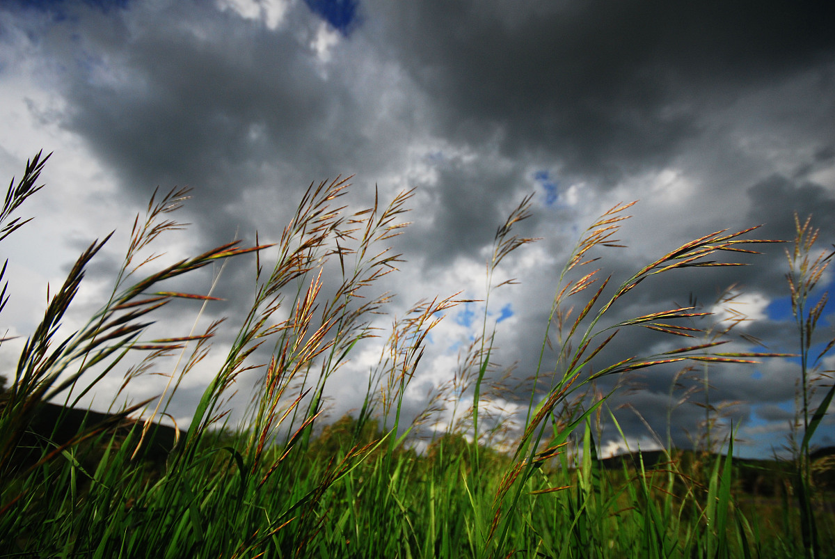 水土保持技术专业毕业后就业方向：从土地管理到环保工程师