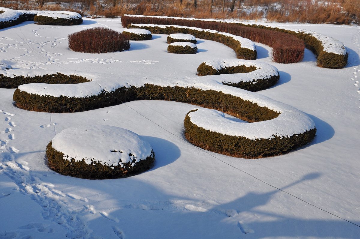 中国基本雪压分布规律及影响因素