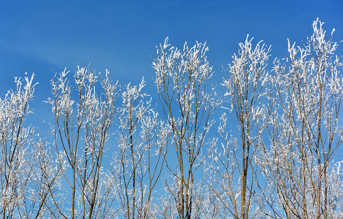 齐河会计学校铁道通讯信号好不好？有什么招生要求