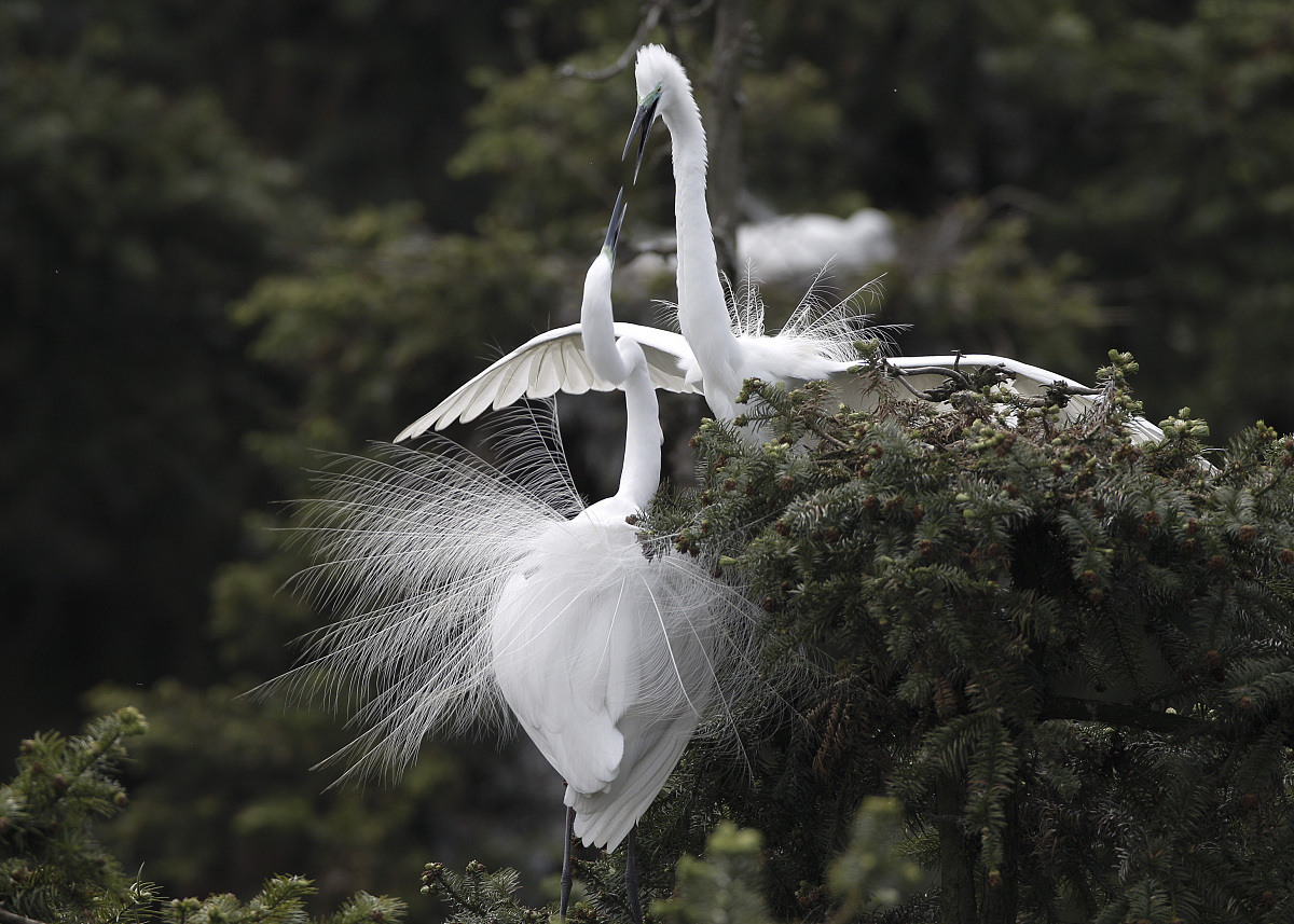 南昌广播电视中等专业学校2022年招生简章 - 培养广播电视技能人才