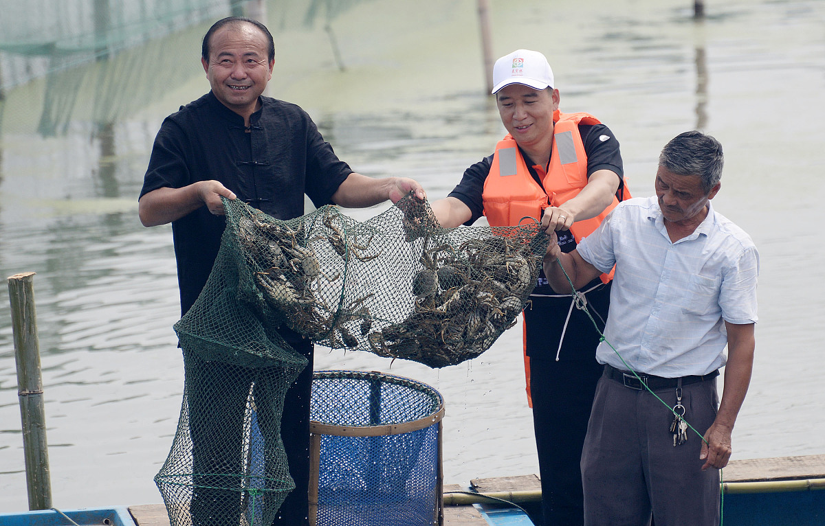 阳澄湖大闸蟹开捕直播！见证鲜美蟹宝宝出水瞬间