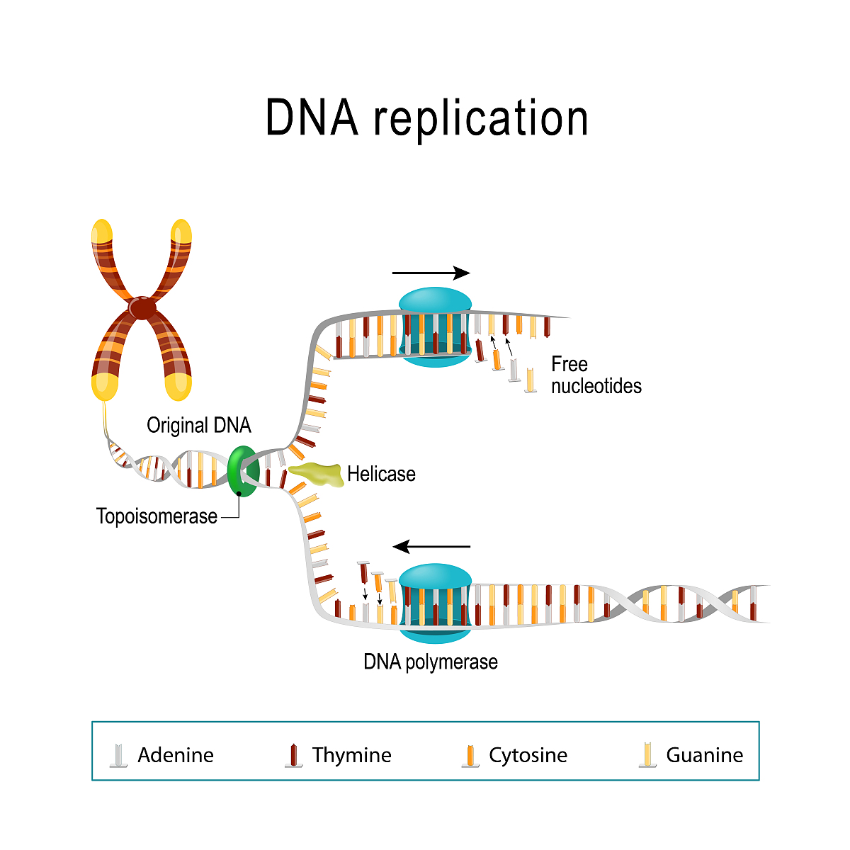 在设计蛋白质之前我想对一个蛋白质结构进行最简单的relaxrelax。xml要包含FastRelax name=example1 relaxscript=default么