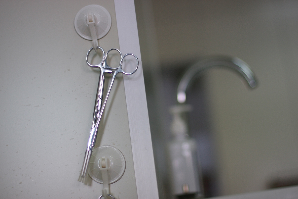 2019年贵阳市卫生学校招生要求