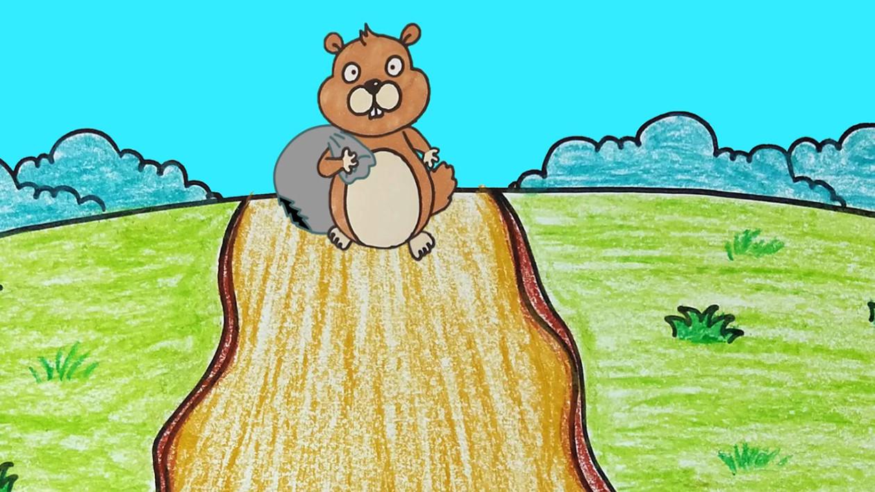 简笔画丨土拨鼠视频教程,每日一学,丰富孩子的认知能力!