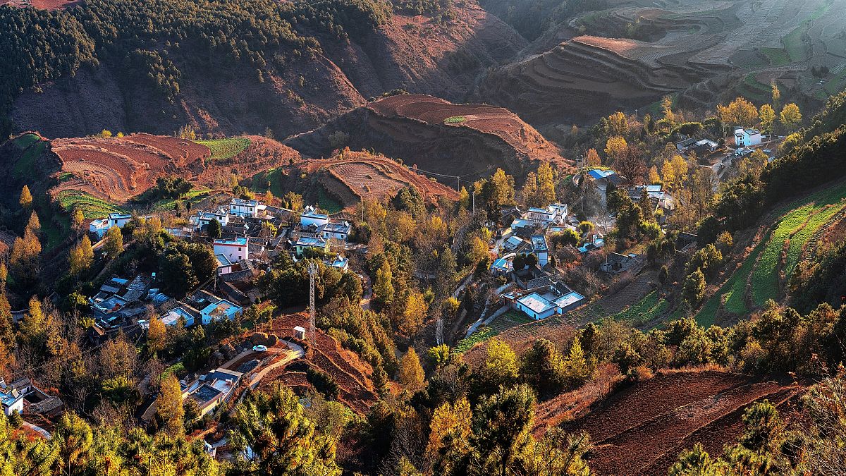 关于美丽的作文