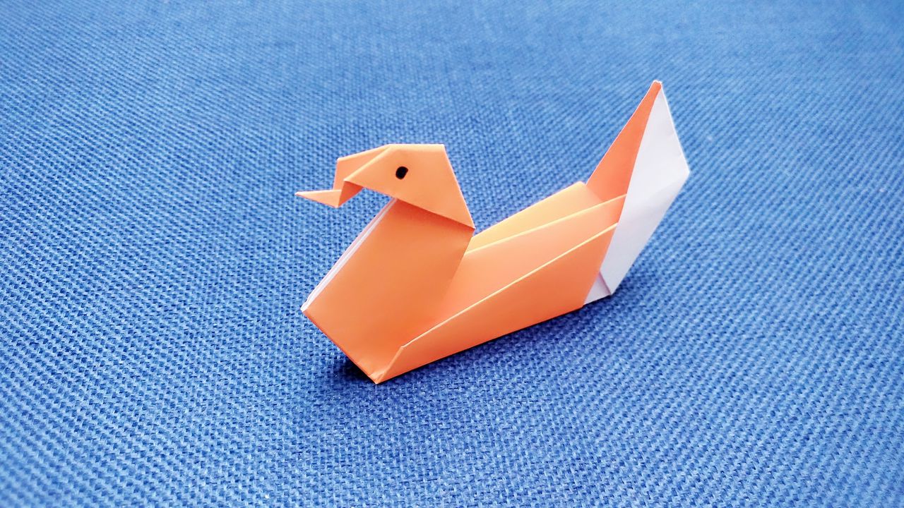 儿童折纸——创意鸭子