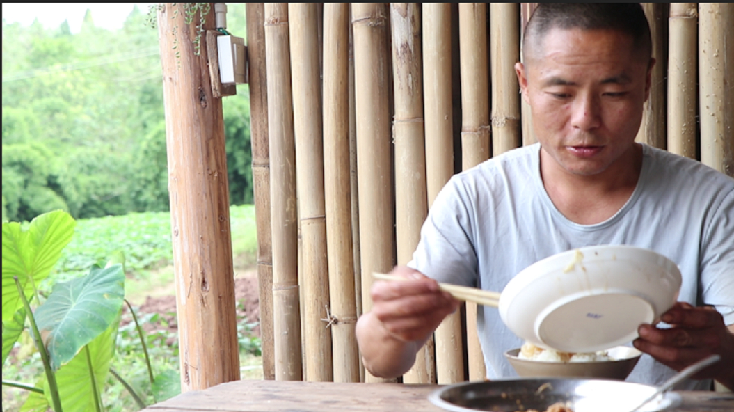 烂肉豆腐、油渣炒白菜,地道家常味特别下饭,四娃连菜汤都不放过