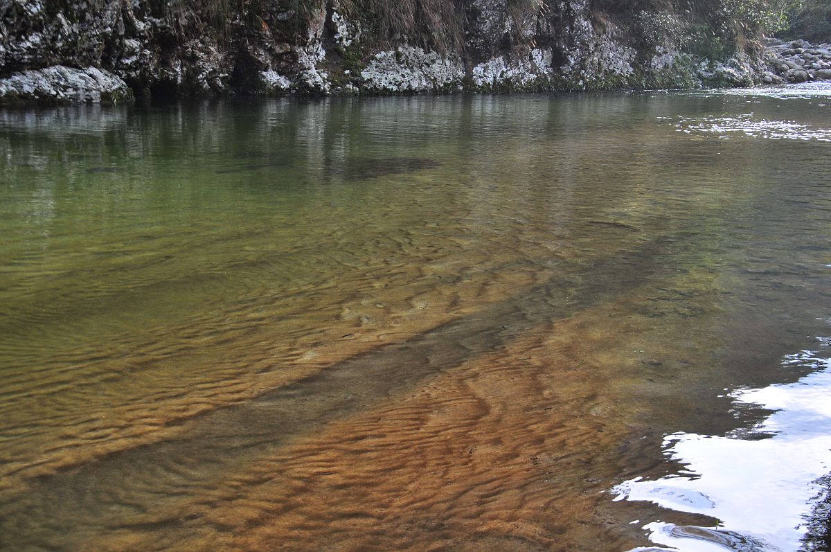 展现国家生态文明建设的非凡成就：生态先进故事与典型事件