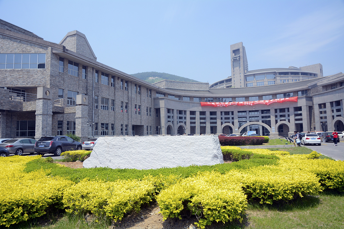 大连东软信息学院数字媒体技术专业怎么样