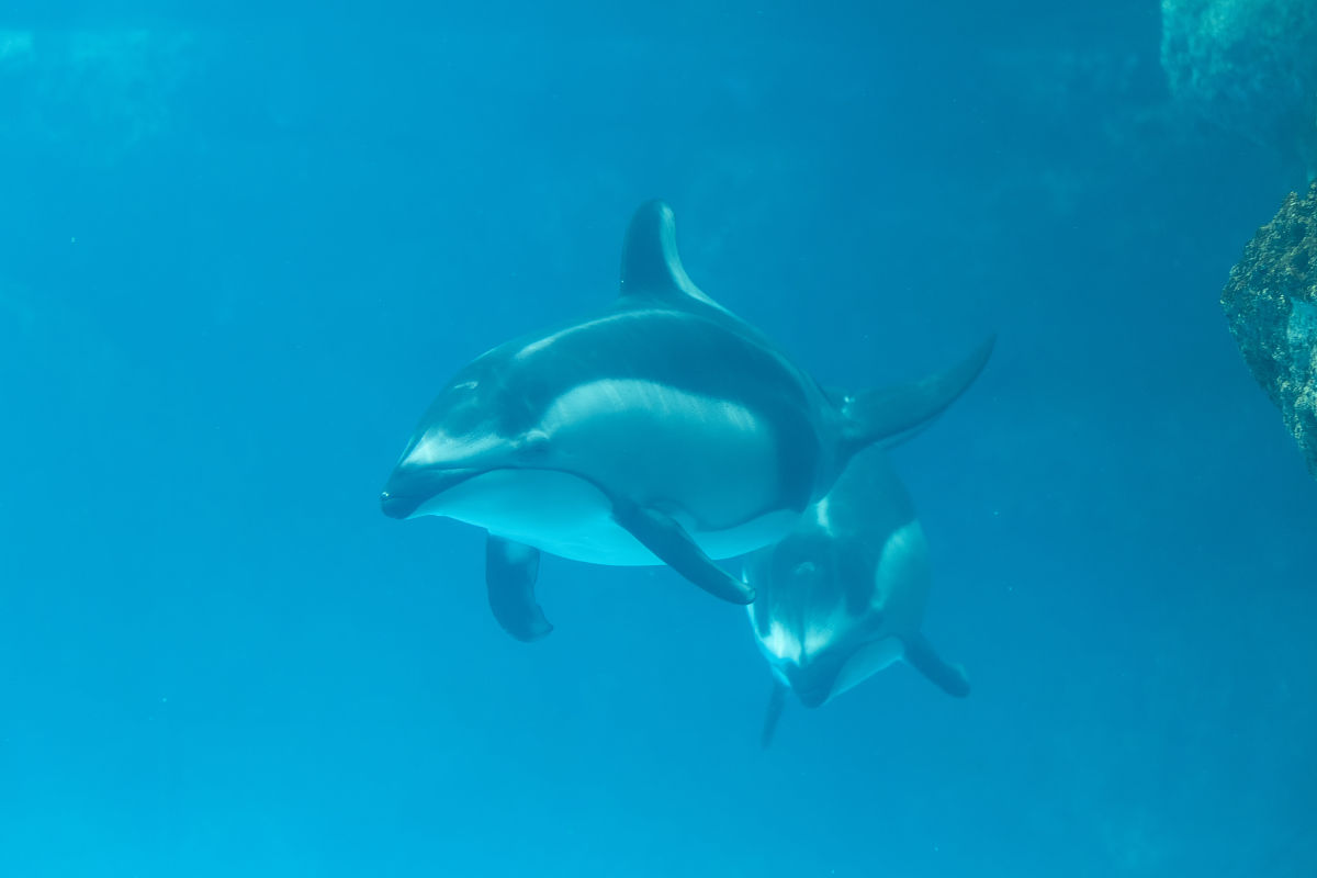 广东海洋大学信息与计算科学专业怎么样？优势、前景及发展建议