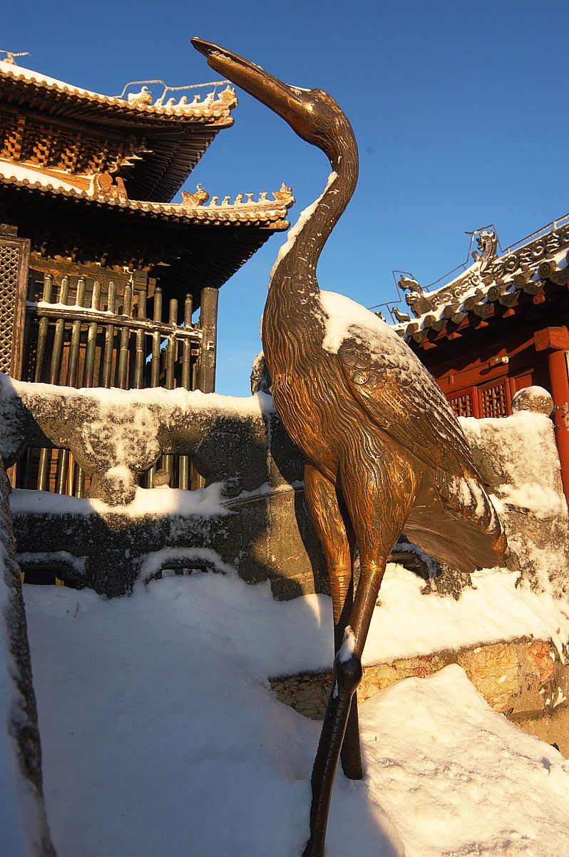 镏金的仙鹤塑像挺拔在厚厚的积雪中,沐浴朝阳,真有些气度不凡呢.  +++