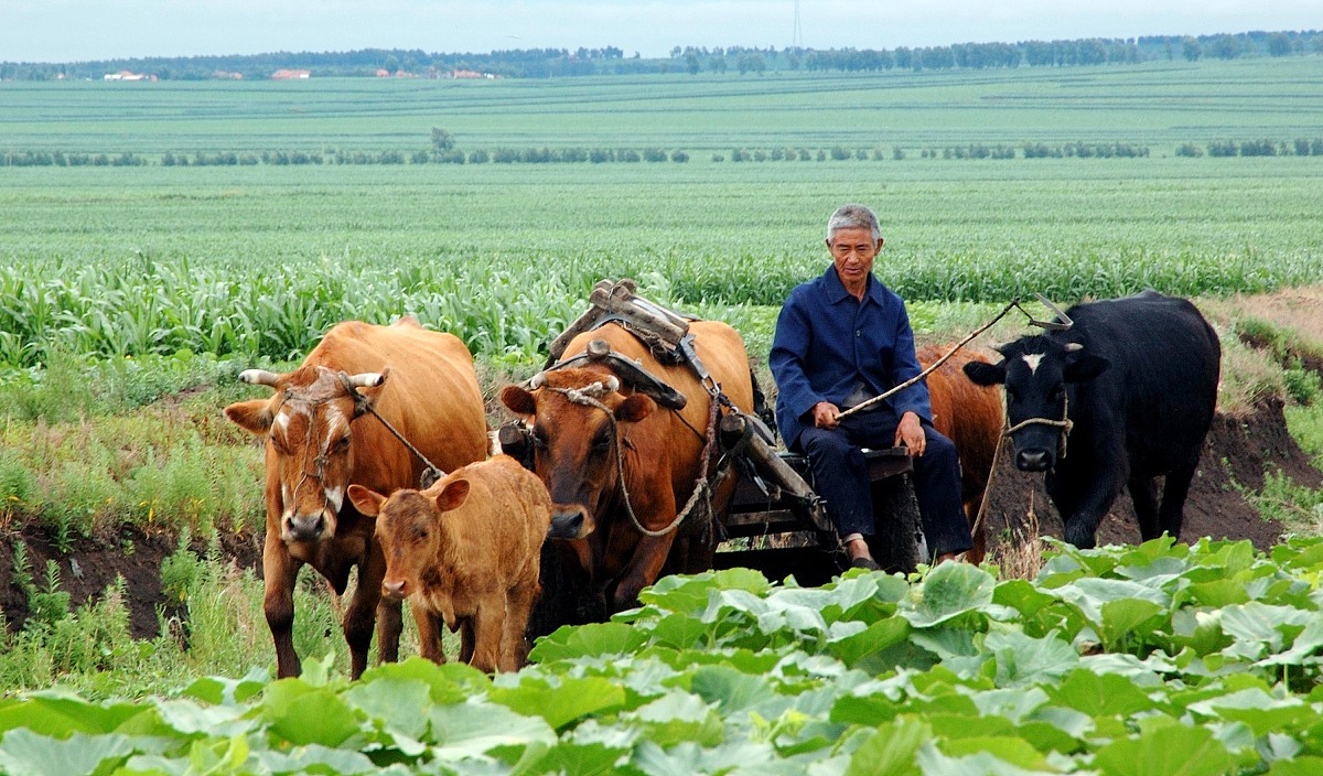 黑龙江农业经济职业学院单招有农药专业吗？专业介绍及相关知识