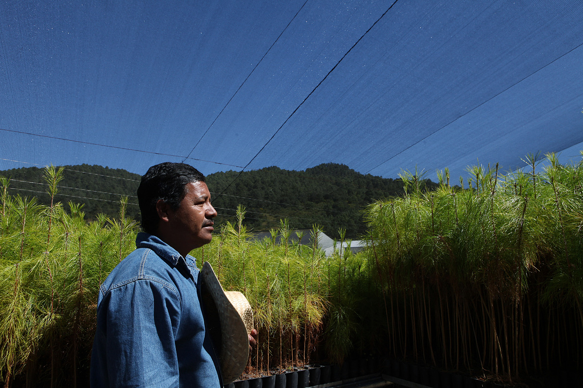 成都五月花高级技工学校工程造价专业怎么样？就业前景及发展方向分析