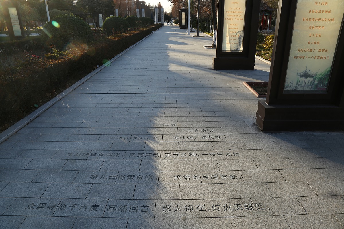 爱国诗歌：现代中文诗歌表达爱国情怀