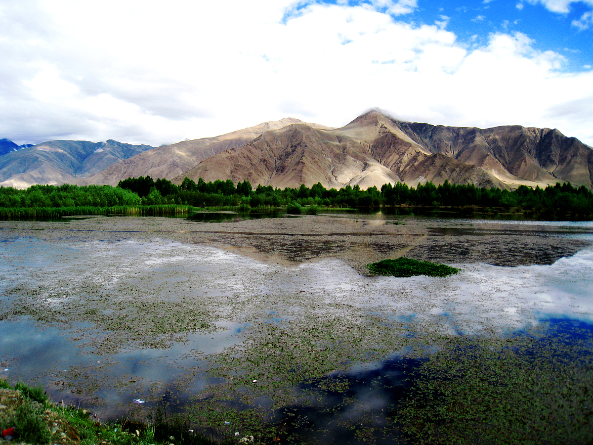 从宣传渠道多元性、宣传内容吸引力、宣传活动丰富性、宣传力度影响力、新媒体宣传效果角度阐述拉萨市河长制如何提升宣传效果600字