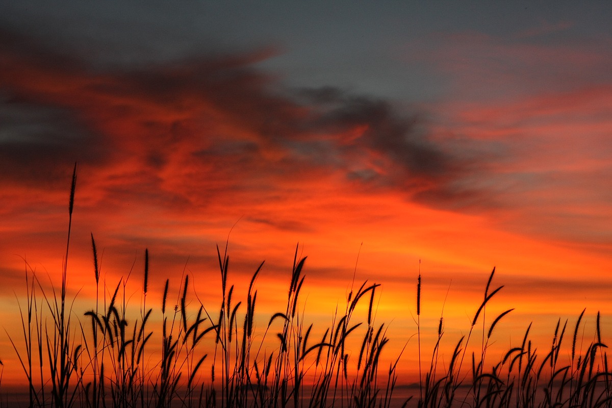 2008年,10月14日,泰国普吉pp岛日落风光.  +++_+++日落,泰国,pp岛