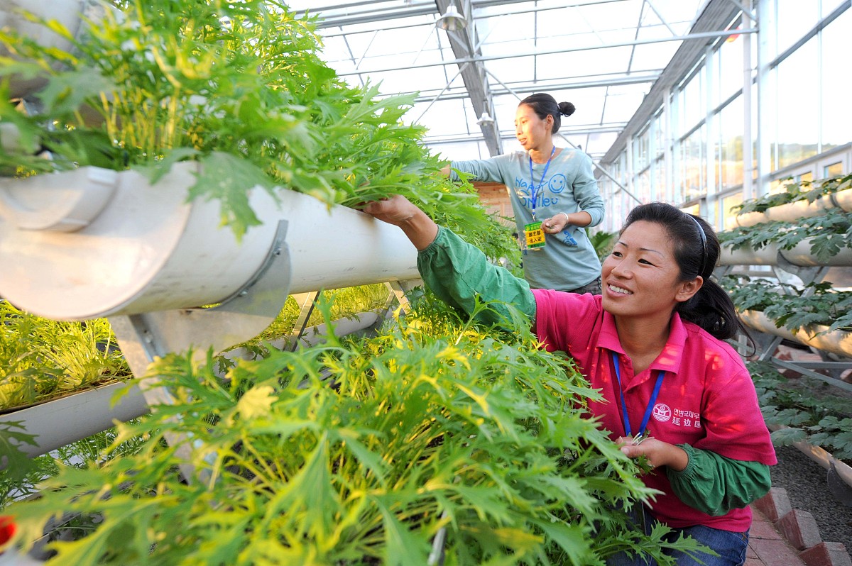 吉林农业科技学院中药学院有哪些专业及什么专业好