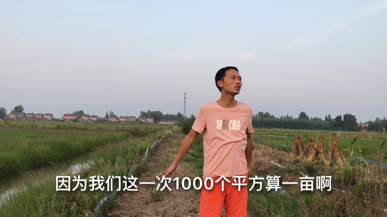 小龙虾养殖户靠什么亩产过万,养虾技术员八分钟解答