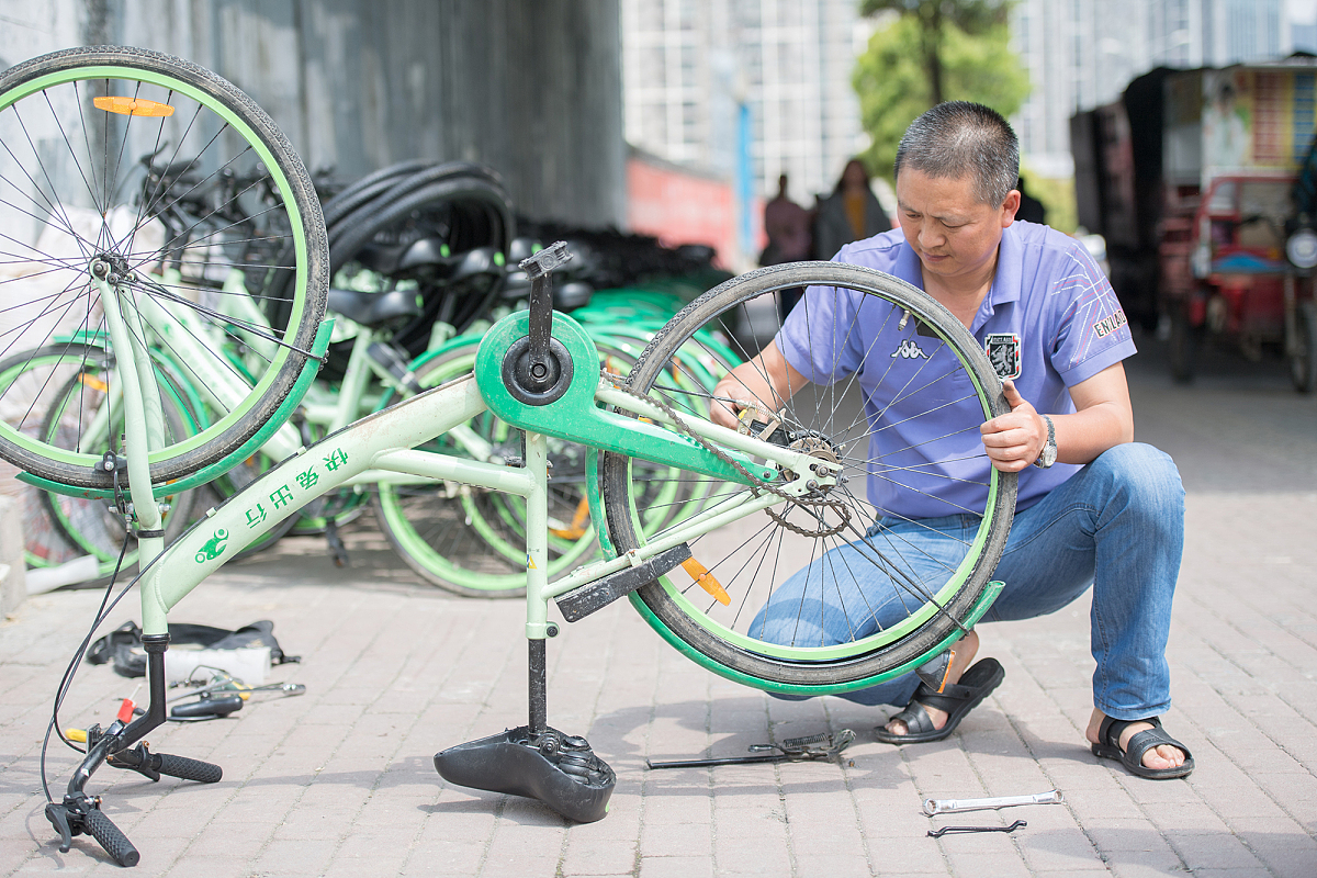 无碳小车项目：用人力和太阳能打造可持续交通