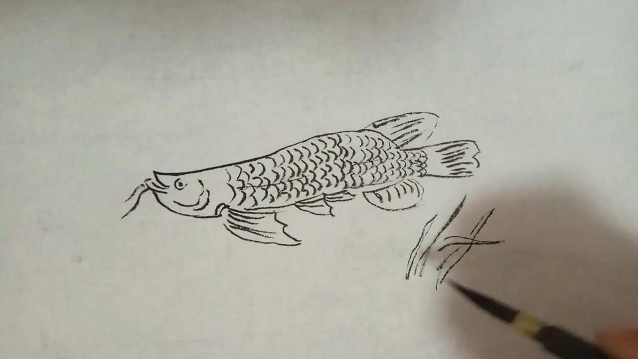 国画入门技法:线描国画鱼,简单易学