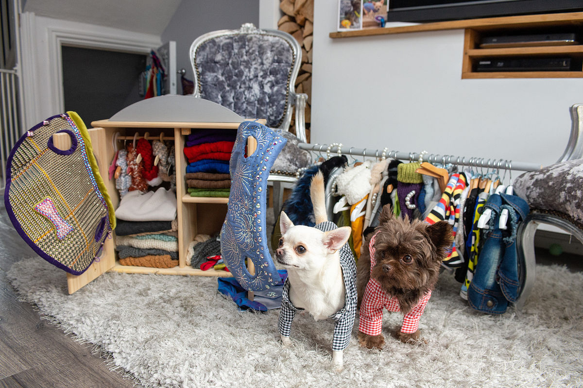 北京女生学汽车美容：优势、职业发展和未来趋势