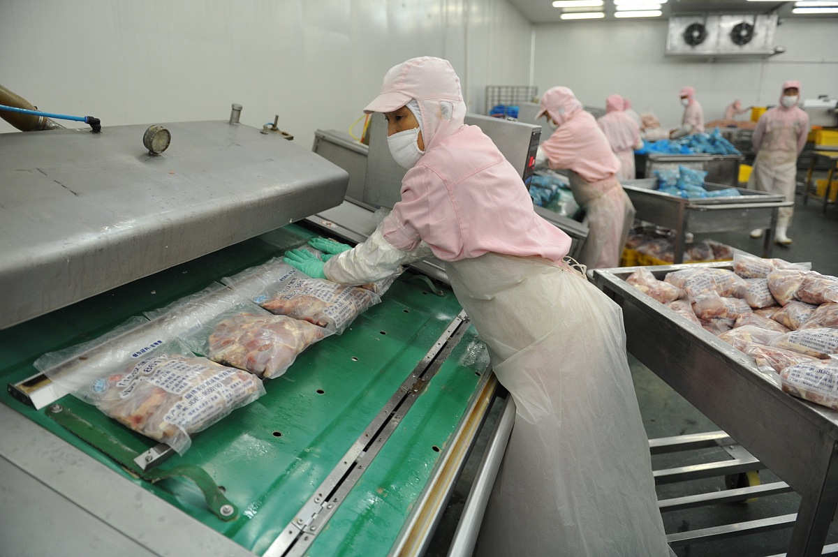 食品加工实习报告：深入生产一线，探秘美食背后的奥秘