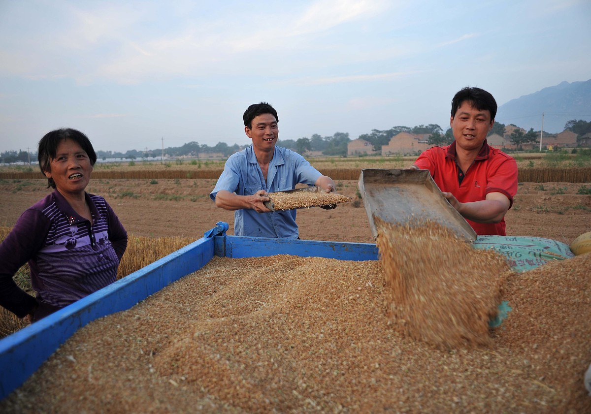 陕西省农业机械化学校计算机信息管理专业：培养信息管理人才