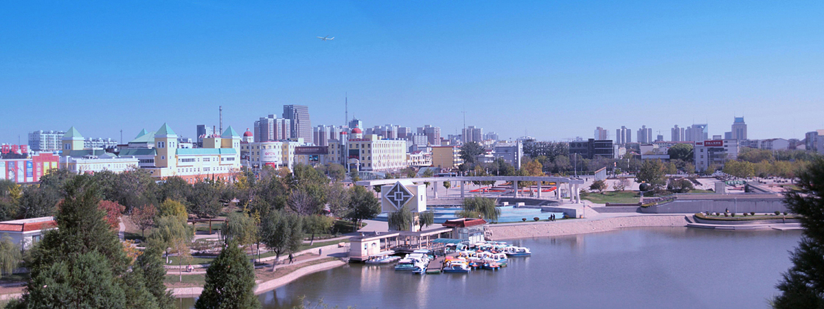 我听了中心城区提质扩容增效创新路径讲座以环高校经济圈为主题写一篇200字感受