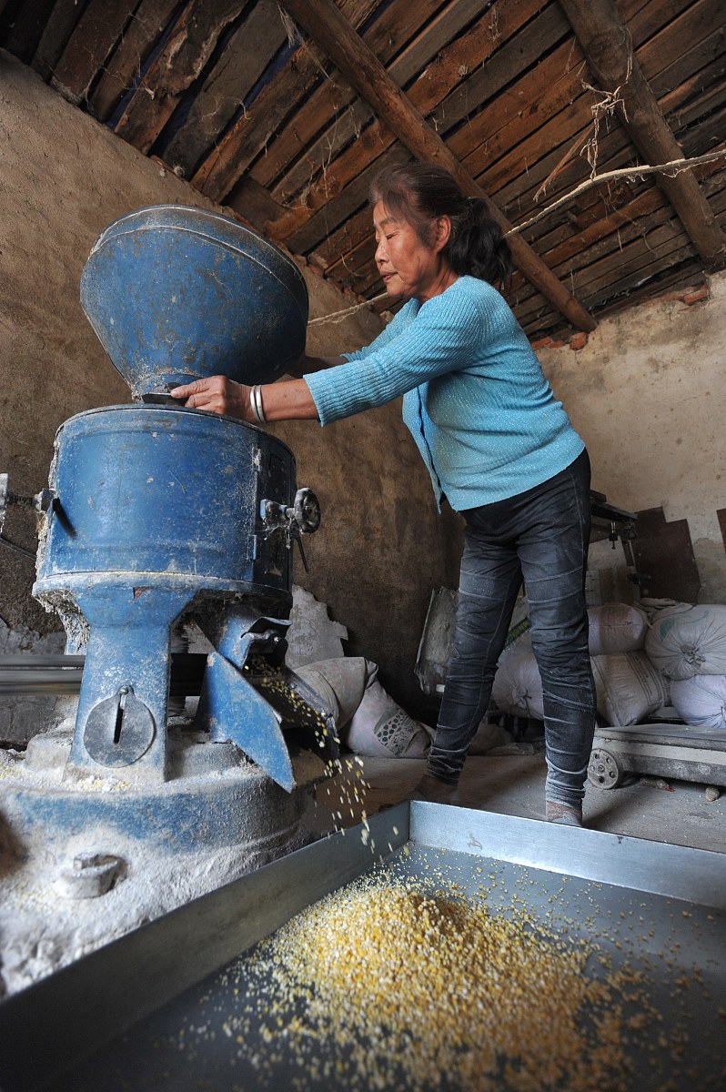 辽宁机电职业技术学院宝玉石鉴定与加工技术专业怎么样