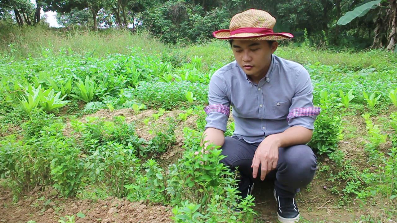 菜市场很少见的一种菜,农村小伙这样做来吃,能起到清肝明目作用