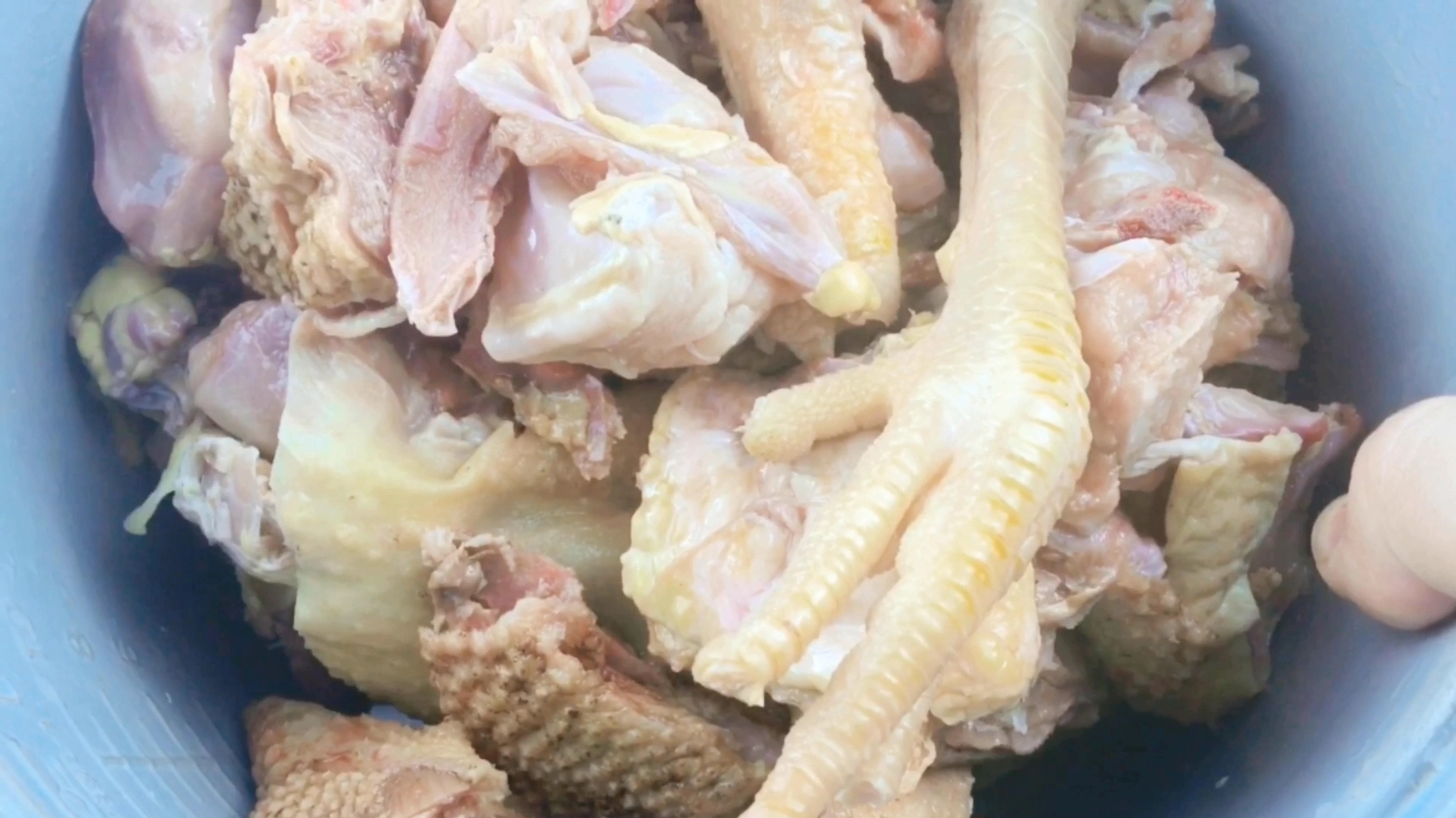 老笨鸡炖香菇,口感佳味道好,汤美还补身子