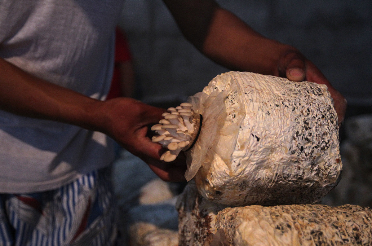 浙江农业商贸职业学院旅游管理专业培养目标