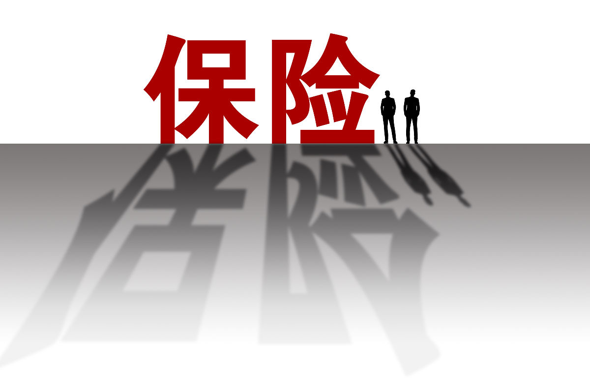 保险公司 - 提供全方位风险保障和理财方案