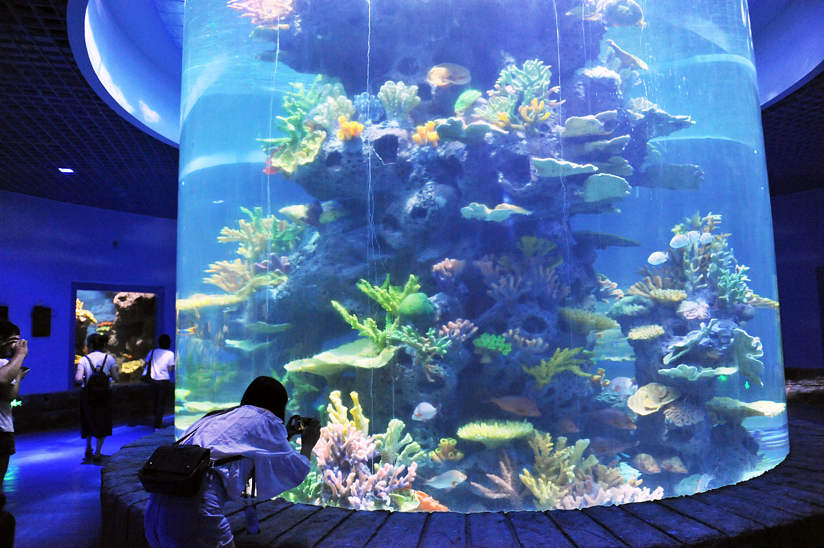 泉州海洋职业学院2022年招生简章