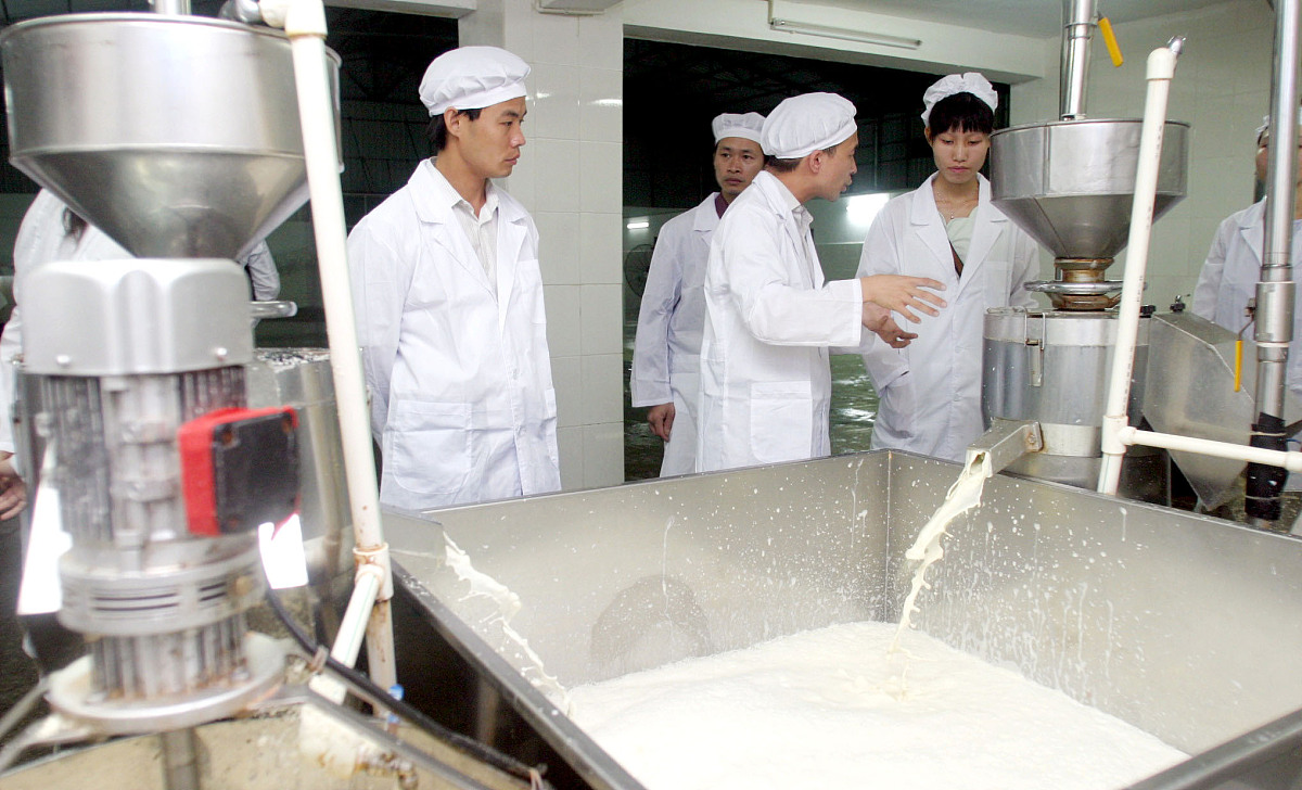 食品级蛋白酶在豆腐生产中的应用案例：食品酶工程在豆类加工中的现状与挑战
