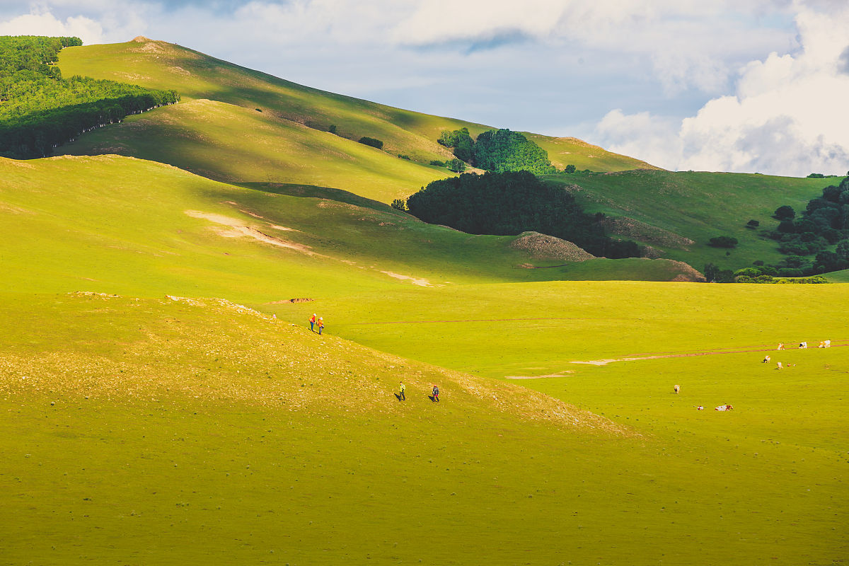 内蒙古经贸学校招生简章2019