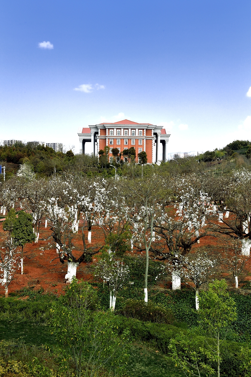 云南医学院校排名及发展趋势：2022年最新指南